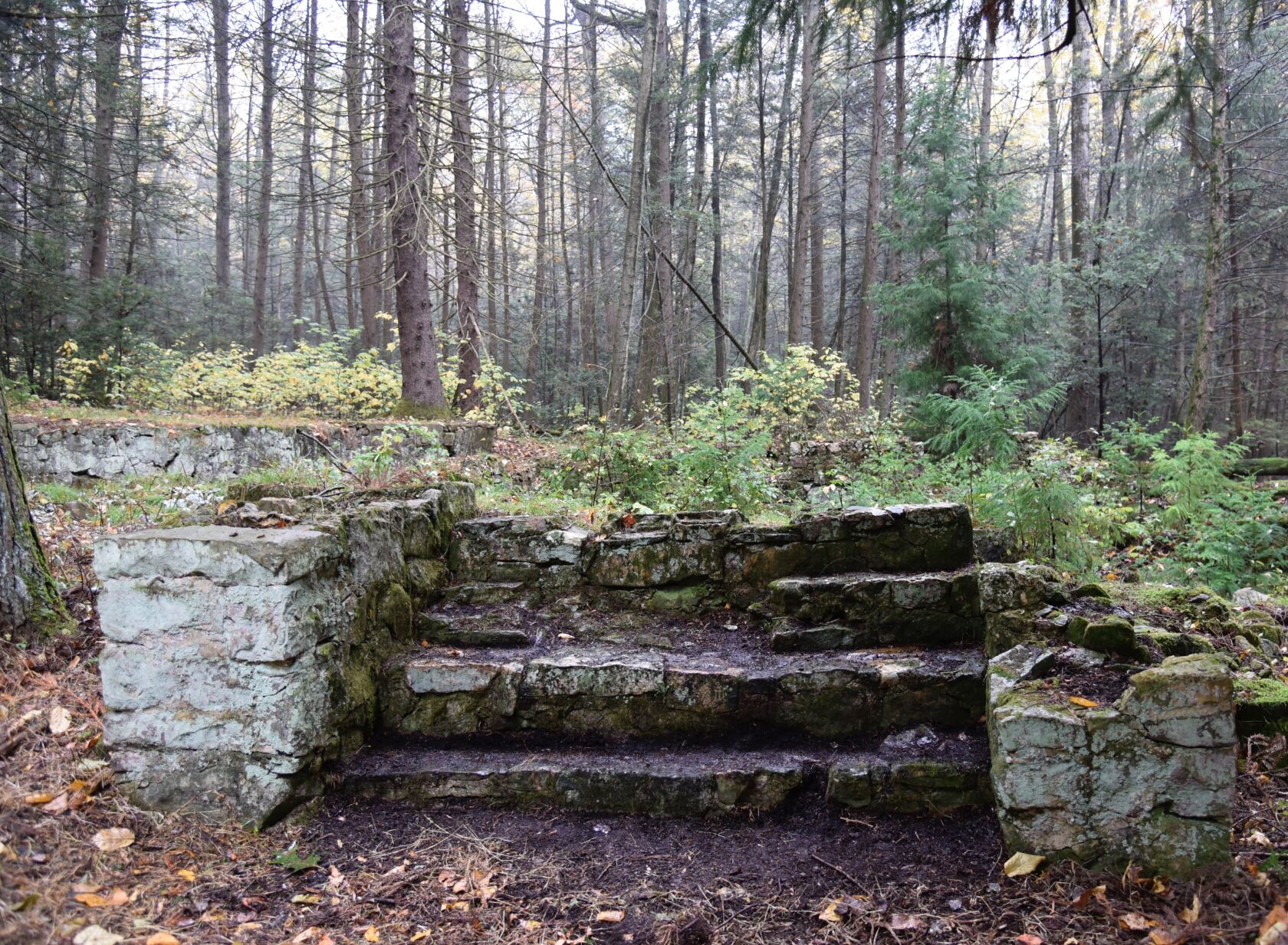 Farmhouse remnants, Stony Creek Valley PA